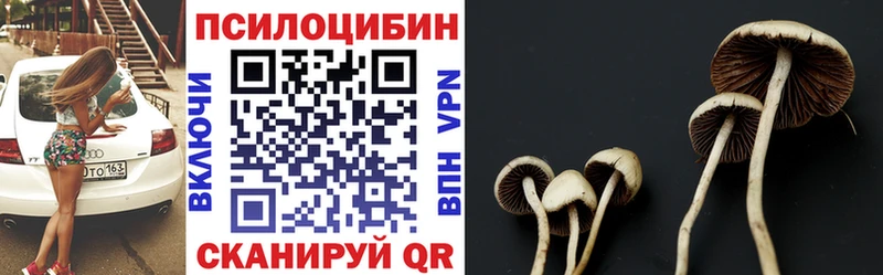 МЕГА tor  Спасск  Галлюциногенные грибы Psilocybine cubensis 